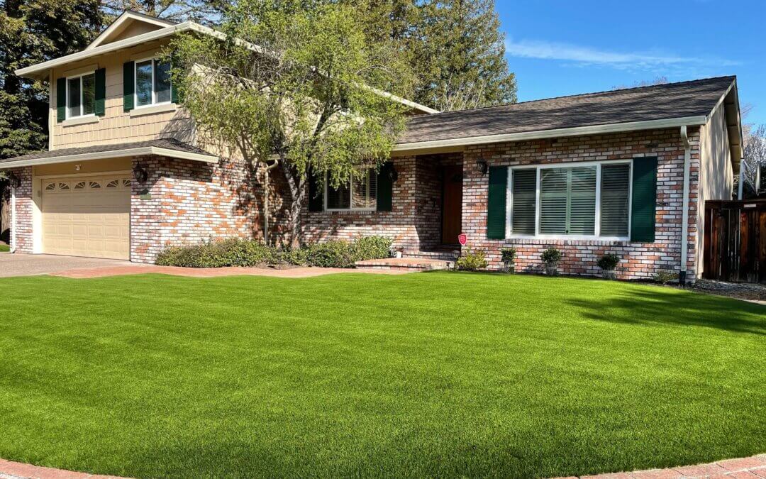 Is It Time for Synthetic Grass in San Antonio